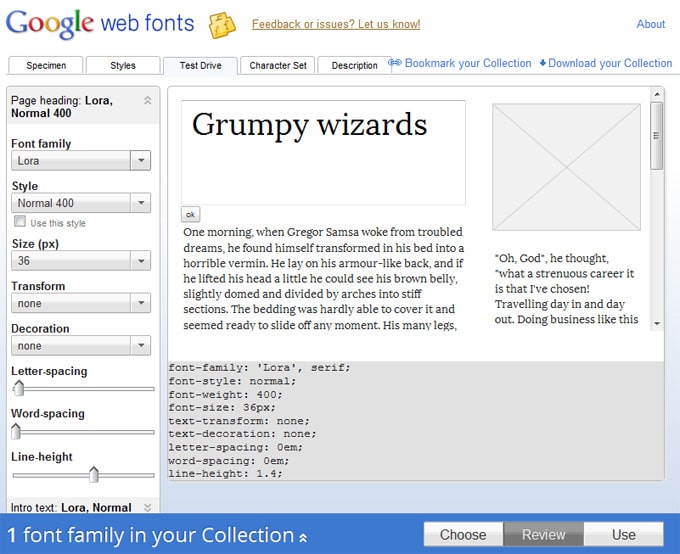 google fonts